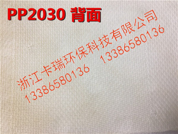 PP2030雙層背面